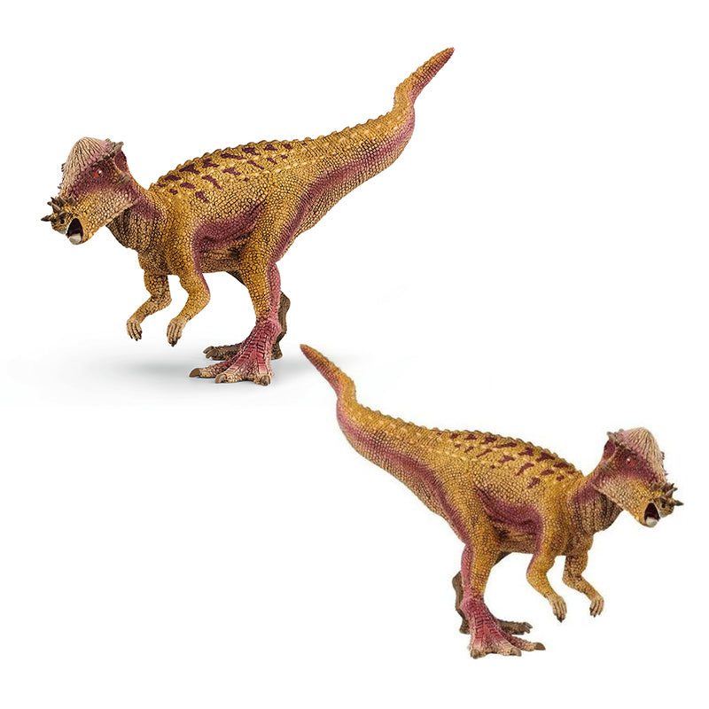 khung-long-pachycephalosaurus-15024-03