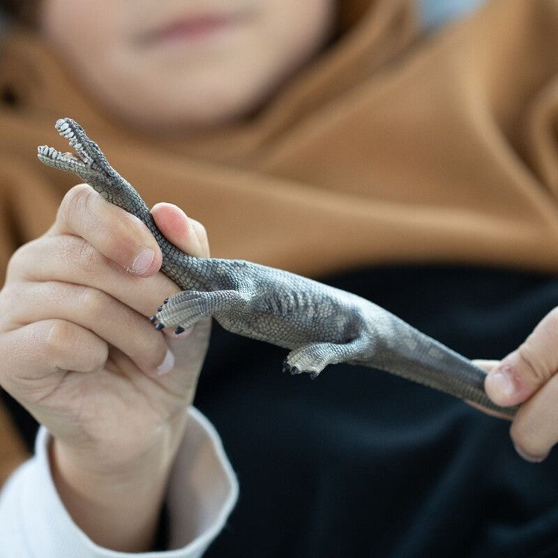 Đồ Chơi Mô Hình Khủng Long Nothosaurus SCHLEICH 15031