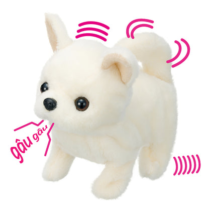 cun-con-baby-chihuahua-3114-3vn-js-04