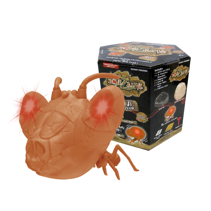 bo-khao-co-bonezalive-khai-quat-xuong-song-dong-lon-59769-02