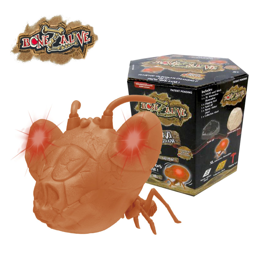 bo-khao-co-bonezalive-khai-quat-xuong-song-dong-lon-59769-04