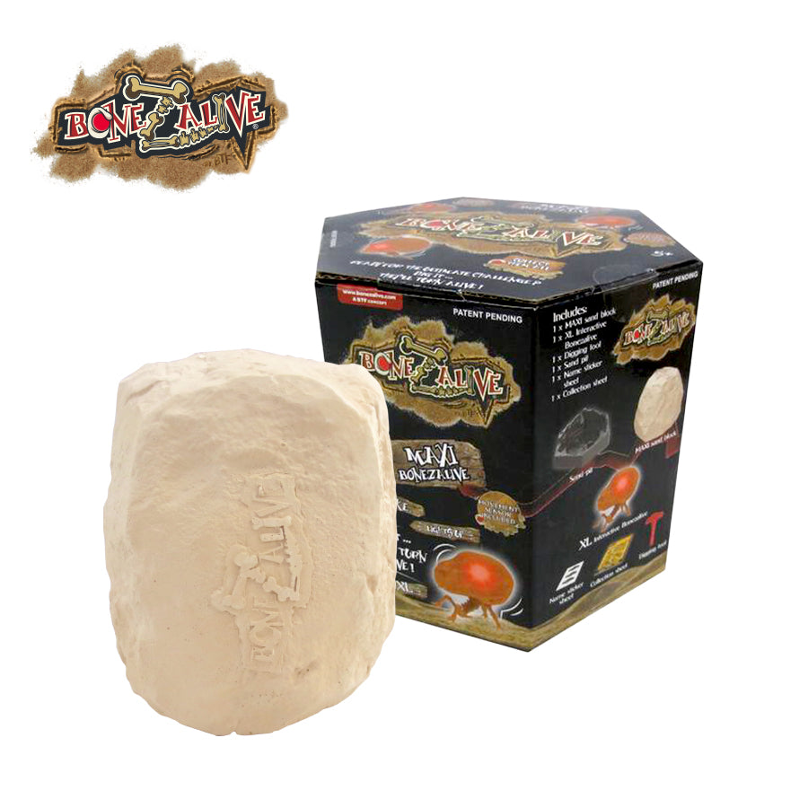 bo-khao-co-bonezalive-khai-quat-xuong-song-dong-lon-59769-03