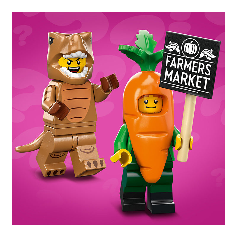 Đồ Chơi Lắp Ráp Nhân Vật Lego Sô 24 LEGO MINIFIGURES 71037