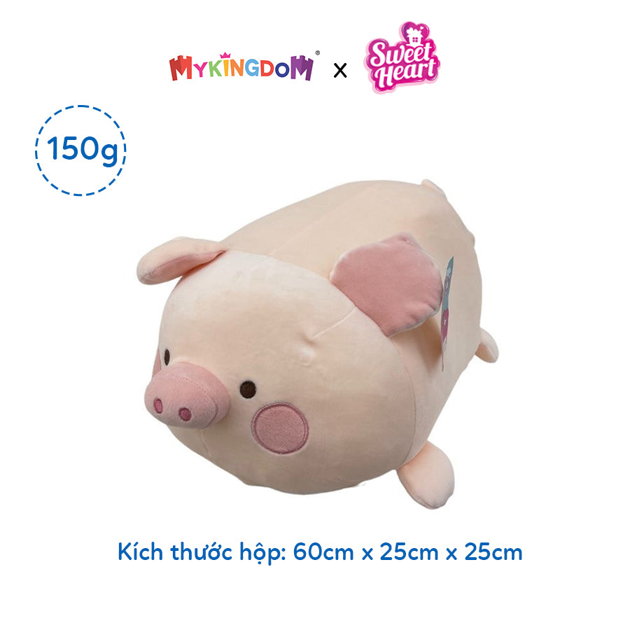 thu-nhoi-bong-heo-nam-60cm-ah23061-60-06