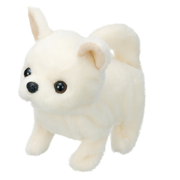 cun-con-baby-chihuahua-3301-3vn-js-02