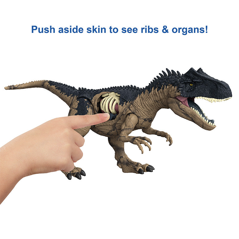 Mô Hình Khủng Long ALLOSAURUS JURASSIC WORLD MATTEL HFK06