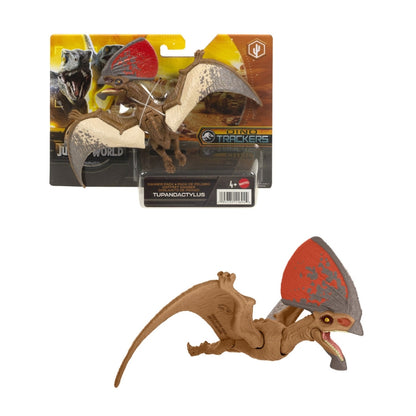 jw-khung-long-austroraptor-6-inch-co-khop-linh-hoat-hln54-hln49-02