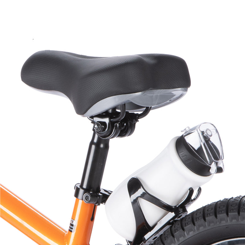 xe-dap-tre-em-royalbaby-freestyle-18-inch-mau-cam-rb18b-6-or-03